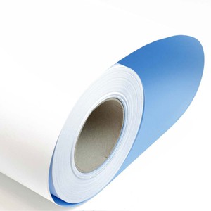[DPOBBDSOKA11576100] Rotolo Plotter Blue Back 269 115gr h100x80mt F76 PB